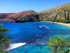 High Hawaiian